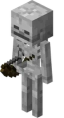 Скелет